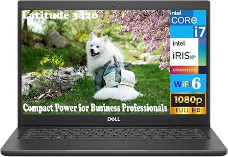 Dell Latitude 3420