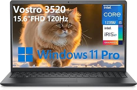 Dell Vostro 3520